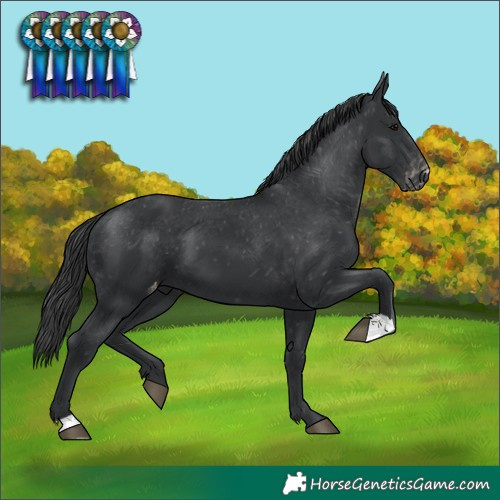 Horse Color:Black Varnish 