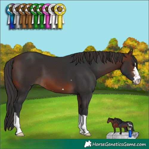 Horse Color:Brown 