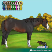 Horse Color:Brown 