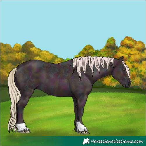 Horse Color:Watercolor Midnight Palomino Ice