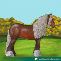 Horse Color:Silver Brown 