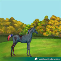 Horse Color:ERROR: UNKNOWN ANOMALY