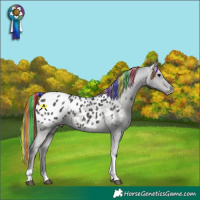 Horse Color:Painted Black Tobiano Appaloosa