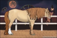 Horse Color:Gold Champagne Dun 