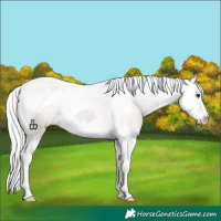 Horse Color:Watercolor Silver Grullo Splash Tobiano Varnish 