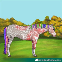 Horse Color:Painted White Spotted Silver Grullo Sabino Snowflake Varnish 