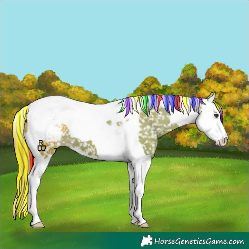 Horse Color:Painted Watercolor Liver Chestnut Splash Tobiano Appaloosa