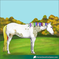 Horse Color:Painted Watercolor Liver Chestnut Splash Tobiano Snowflake Varnish