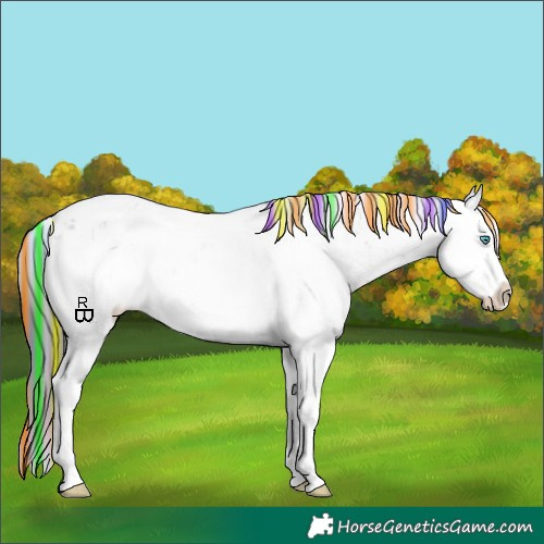 Horse Color:Painted Nacre Black Sabino Splash Appaloosa 
