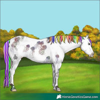 Horse Color:Painted Nacre Liver Chestnut Sabino Splash Appaloosa 