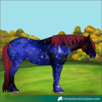 Horse Color:ERROR: UNKNOWN ANOMALY