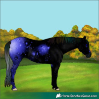 Horse Color:ERROR: UNKNOWN ANOMALY