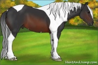 Horse Color:Brown Tobiano
