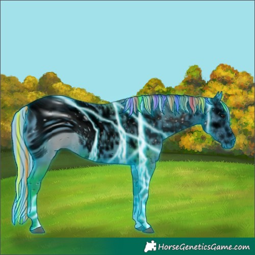 Horse Color:ERROR: UNKNOWN ANOMALY