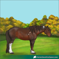 Horse Color:Liver Chestnut Tobiano 