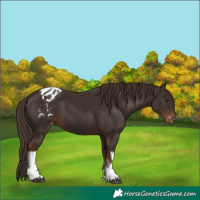 Horse Color:White Spotted Liver Chestnut Varnish 