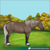 Horse Color:Silver Brown Dun