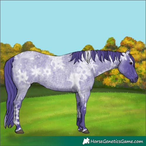 Horse Color:Watercolor White Spotted Blue Ice Roan Rabicano