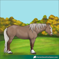 Horse Color:Silver Grullo Varnish 
