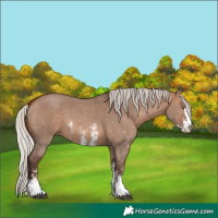 Horse Color:Silver Brown Dun Sabino 