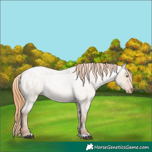 Horse Color:Bay Roan Pearl Dun Appaloosa Rabicano 