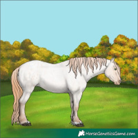 Horse Color:Bay Roan Pearl Dun Varnish Rabicano 