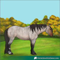 Horse Color:Brown Roan Dun 