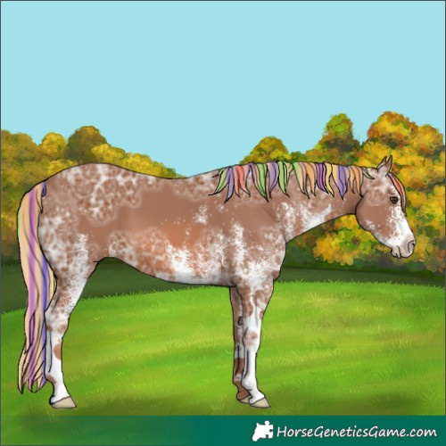 Horse Color:Painted White Spotted Chestnut Ice