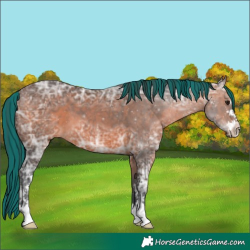 Horse Color:Painted White Spotted Brown Ice 