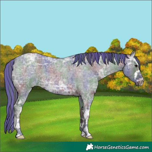 Horse Color:Painted Nacre White Spotted Blue Ice Roan 