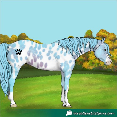 Horse Color:Watercolor Brown Near Leopard 