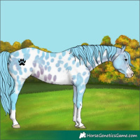 Horse Color:Watercolor Brown Near Leopard 