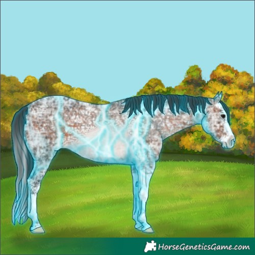 Horse Color:Thunderstruck Brown Ice Splash 