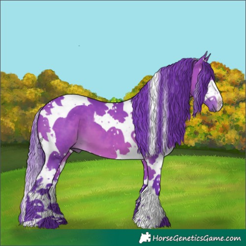 Horse Color:Watercolor Bay Splash Tobiano 