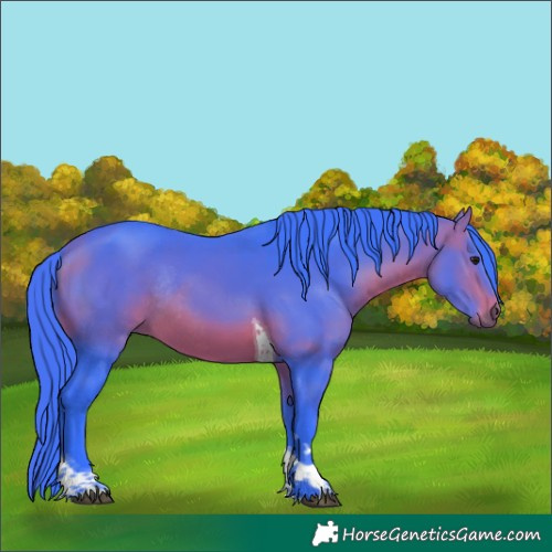 Horse Color:Watercolor Bay Tobiano Rabicano 