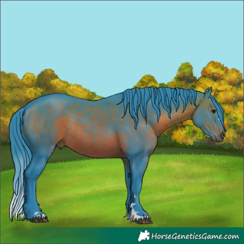 Horse Color:Watercolor Brown Rabicano 