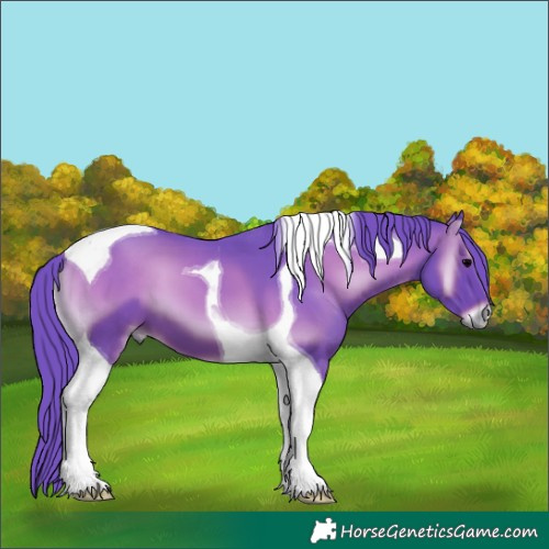 Horse Color:Watercolor Blue Onyx Tobiano 