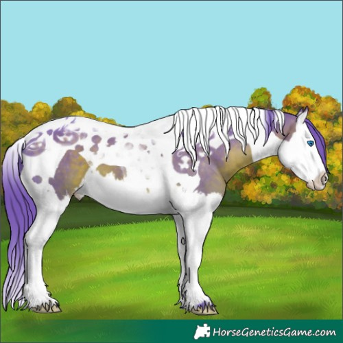 Horse Color:Watercolor Brown Splash Tobiano Appaloosa 