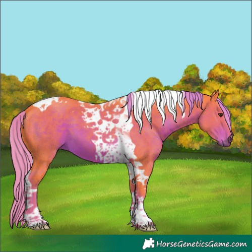 Horse Color:Watercolor Liver Chestnut Tobiano 