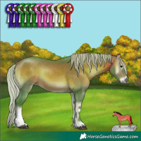 Horse Color:Watercolor Silver Brown Onyx Tobiano 