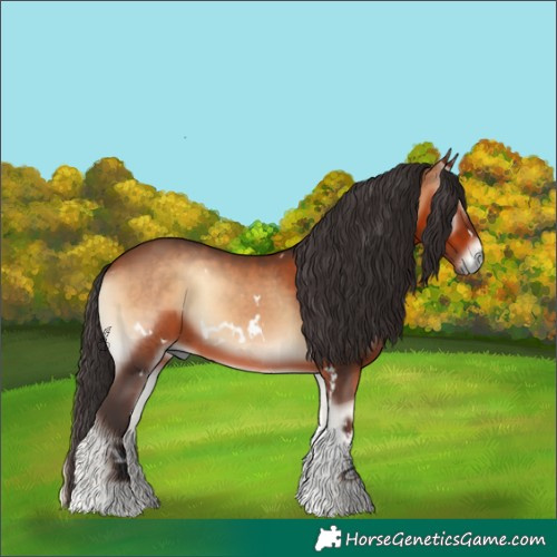 Horse Color:White Spotted Bay Onyx Tobiano 