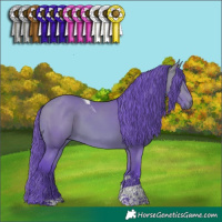 Horse Color:Watercolor Bay Tobiano 