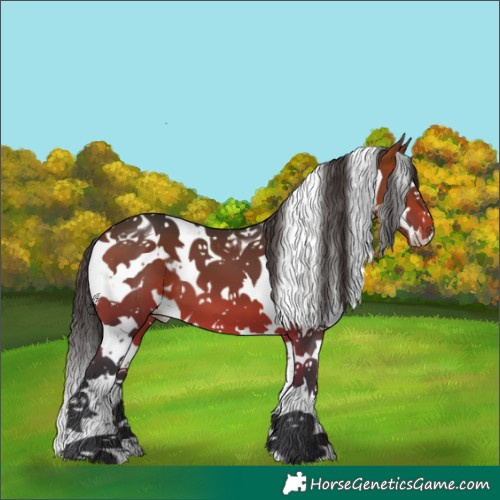 Horse Color:Bay Splash Tobiano 
