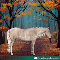 Horse Color:Void Chocolate Palomino Pearl