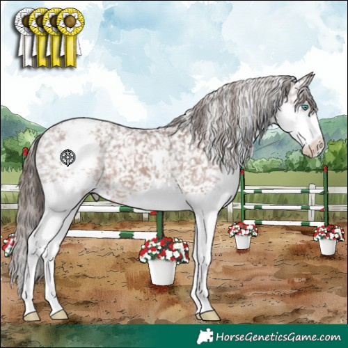 Horse Color:Liver Chestnut Splash Snowflake Varnish