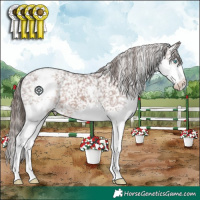 Horse Color:Liver Chestnut Splash Snowflake Varnish