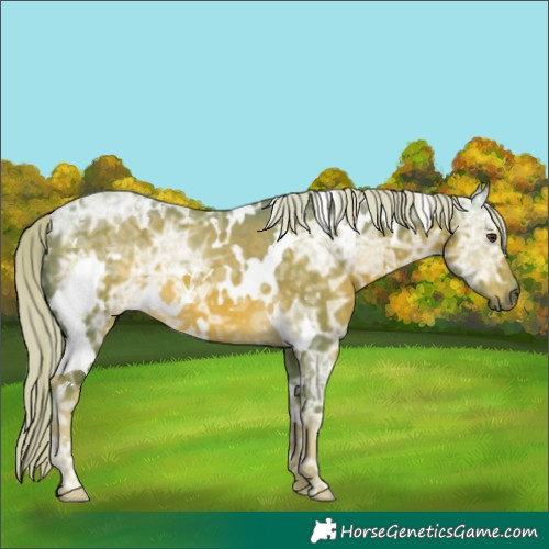 Horse Color:Watercolor White Spotted Chocolate Palomino Ice 