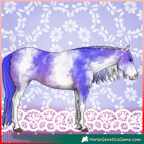 Horse Color:Watercolor White Spotted Bay 