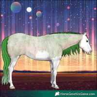 Horse Color:Watercolor Bay Roan Splash 