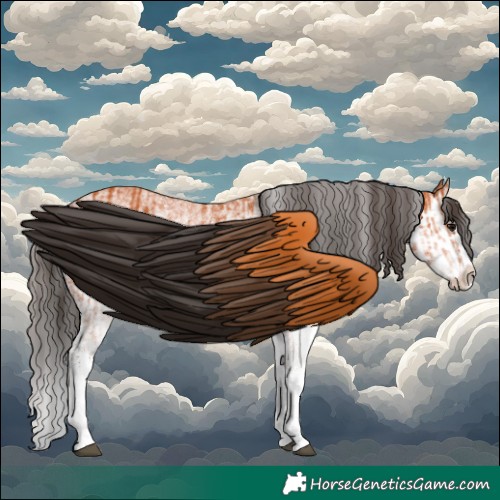 Horse Color:White Spotted Bay Splash  and White Spotted Bay Splash 
